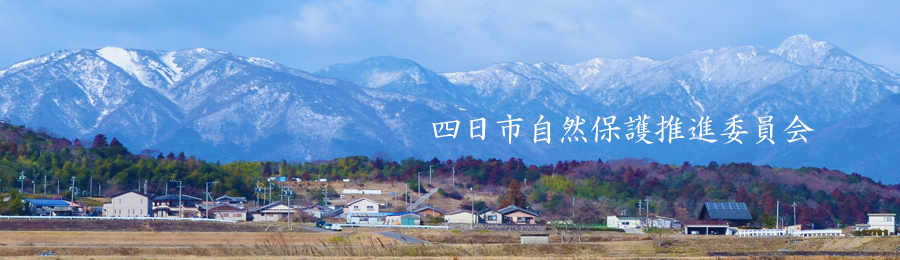 雪の鈴鹿山